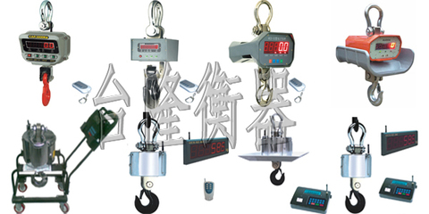 吊秤_质量过关【吊称】精艺求精500公斤吊称-5000公斤电子吊秤{20吨大吊秤}【台隆衡器】_实验仪器设备_天平衡器_台秤磅秤_产品库_中国化工仪器网