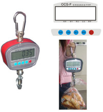 《OCS无线吊秤,OCS-1无线吊秤,上海友声电子秤,电子吊钩秤,吊钩秤》-上海升隆电子科技