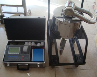 重庆市 20吨无线电子吊秤