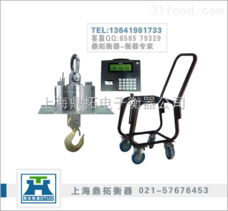 OCS 杭州无线传输式吊称与上海鼎拓电子衡器公司的10t无线电子勾称
