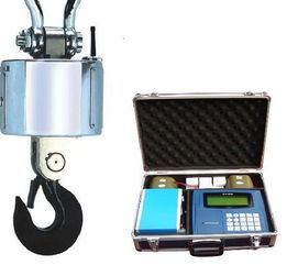 5吨无线吊秤 功能、应用与价格解析